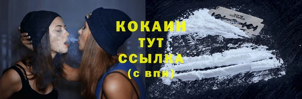 винт Вяземский