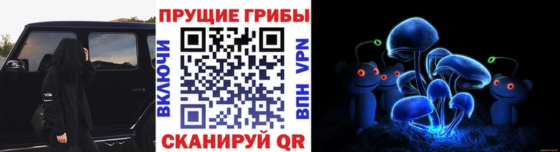 Псилоцибиновые грибы GOLDEN TEACHER  как найти   Озёры 
