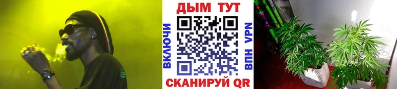 купить  сайты  Озёры  Канабис Amnesia 